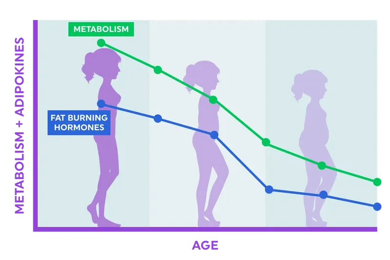 RejuMeno vs regular supplements